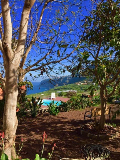 Dragos Del Mar , Espacio Natural ラ・オロタバ エクステリア 写真